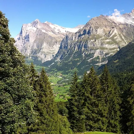 Chalet Bodenwald *