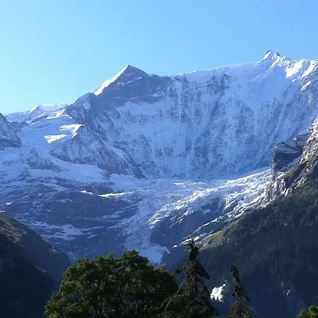 Apartment Bodenwald Grindelwald