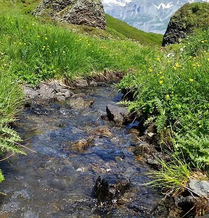 Bodenwald Γκρίντελβαλντ