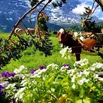 Bodenwald Apartament *