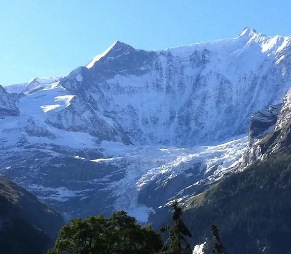 Apartament Bodenwald Grindelwald