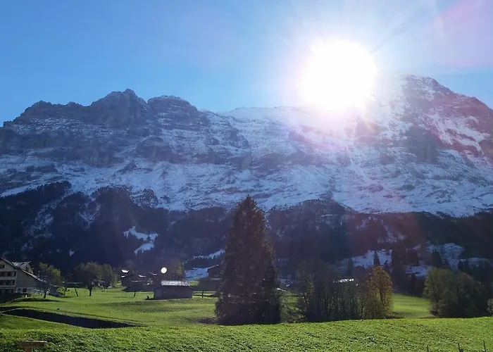 Bodenwald Apartament Grindelwald