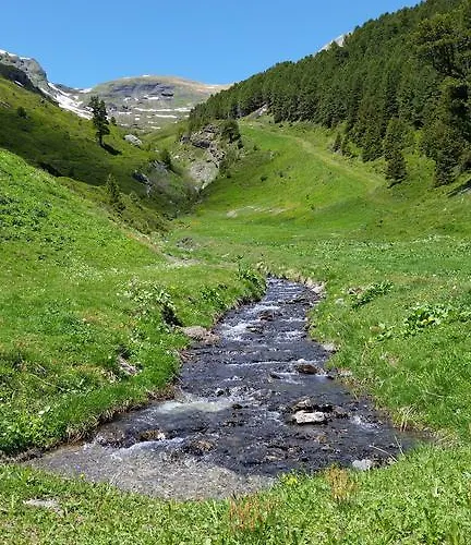 Bodenwald Apartament Grindelwald